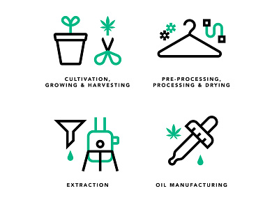 Seed to patient cannabis cultivation icon iconography illustration line medicinal vector