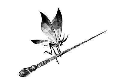 Chapter Header 4 blackandwhite creepy fairy flying illustration illustration art illustrations magic photoshop skeleton skull spooky wand wings