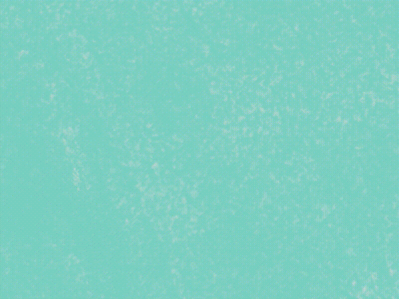 Summer dream animation cat dream illustration shark summer swim swimming