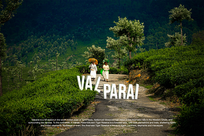 Valparai art artwork design green hills landscape landscape design leaves photographer photography photoshop plantation plants trees workers