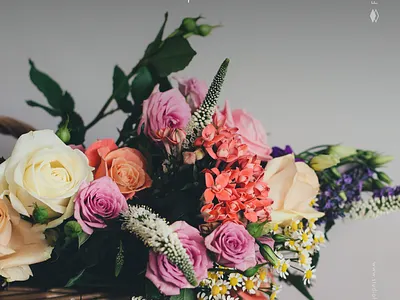 Logo Proposal - White Jasmine date design flower flowers high end illustration logo remember special wedding