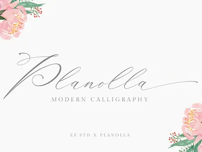 Planolla | Modern Calligraphy calligraphy font chic font elegant font fashionable font gergeous font handlettered handwritten font logo font modern calligraphy modern calligraphy font romantic font romantic script script font stylish font typography wedding font