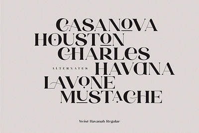 Weist Havanah - Modern Serif branding contemporary creative market design display font font font design logo logo design type design typeface typography