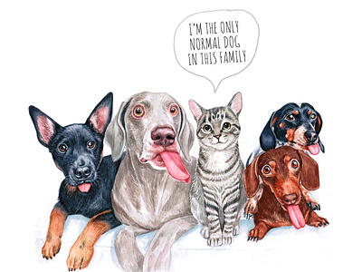 Normal dog animal cat cute dog dogs draw drawing fun illustration kitty pet puppy watercolor watercolor art