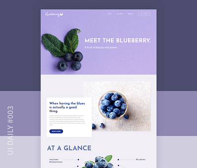UI Daily #003 Landing Page ui ui challenge ui daily ux website
