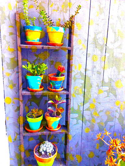 Day10 Outside - Photograph Photoshop Design Challenge challenge colorful design graphic design outside photography photoshop