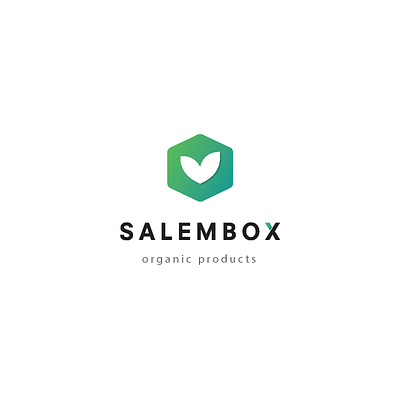 Salem box Logo Design branding design icon illustration logo minimal