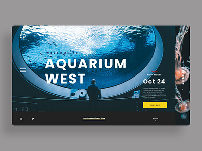 Aquarium Website aquarium branding design identity typography ui ui design ux web web design landing page website