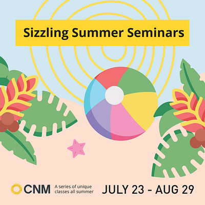 CNM Sizzling Summer Seminars Digital AD advertising beach ball center of nonprofit management cnm design digital ad digital advertising graphic graphic design illustration instagram instagram post nonprofit social ads starfish summer sun sunrays tropical leaves vector