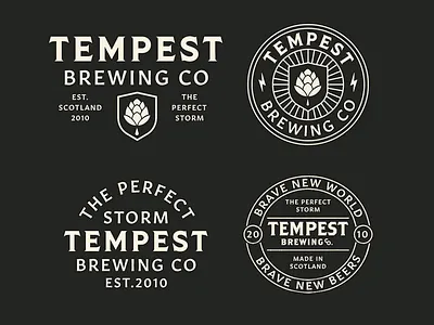 TEMPEST artist branding design designer graphic design identity illustration illustrator logo typography