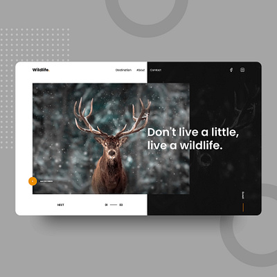 Ui/Ux 006 Inspiration🔥 daily dailyui minimal typography ui uidesign uidesigner ux web website