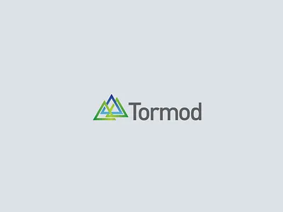 Tormod Final Design branding design identity lockup logo typography vector