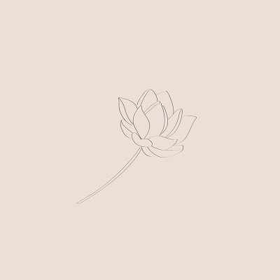 Lotus Illustration flower handdrawn illustration lotus