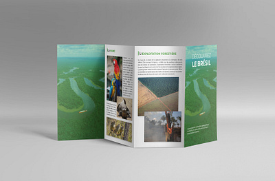 Leaflet | Discover Brazil & the Amazon amazon brazil design indesign leaflet photoshop print