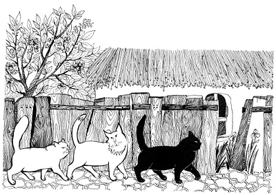 Whiskered hickers black and white book illustration cats childrens book childrens illustration fairy tale illustration ink