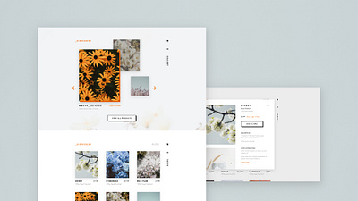 Speed UI - Botanical Catalogue botanical design speed ui ui
