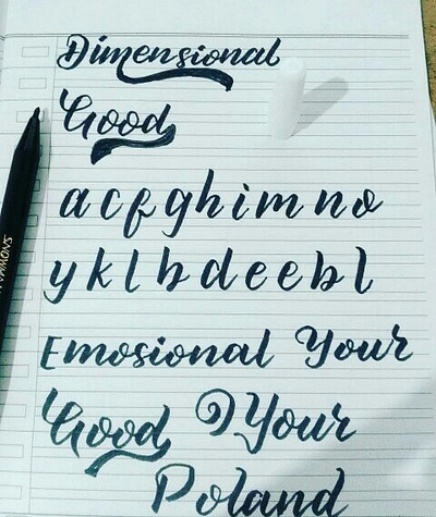 Action Daily font design handletter handlettering handmade logo