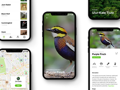 Map of Life animal animals app art direction design typography ui uidesign ux uxdesign