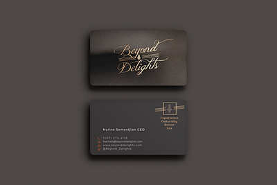 Branding branding business card logo