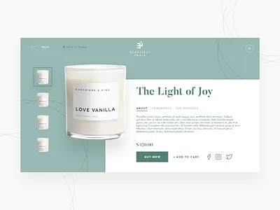 Beautiful India Concept Luxury Web Design design interaction ui ux web