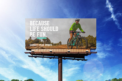 Billboard Design for Local Bike Shop bicycle bikeshop geared mountain bike print