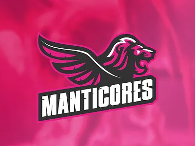 Logo Flag Football american football logo