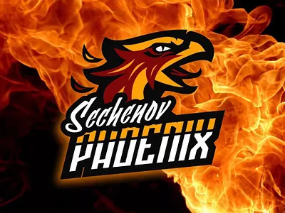 Sechenov Phoenix logo american football logo sport