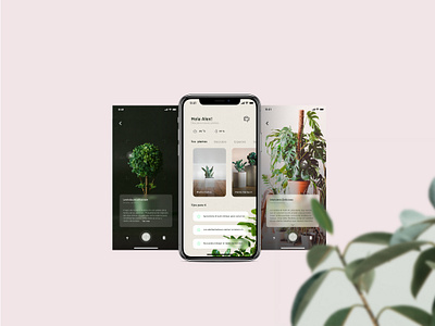 Plant App AR app app design ar art buy buying colors design design art designer iphone x plant plants reality search ui ux vr