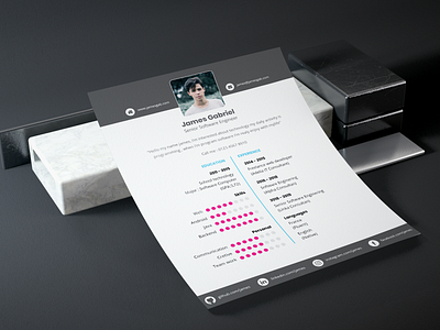 Free resume cv cv cv design cv resume template cv template free freebie paper resume resume clean resume design