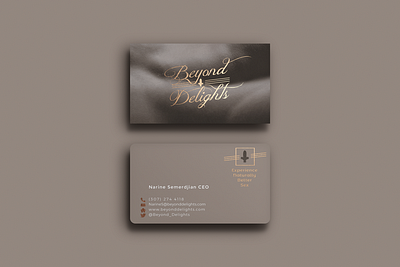 Branding branding business card logo