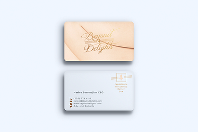 Branding branding business card logo