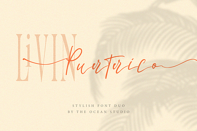 La Lune Font Duo branding elegant font font font awesome lettering logo design logotype modern design modern logo script script font script lettering serif signature font signature logo signatures template typogaphy