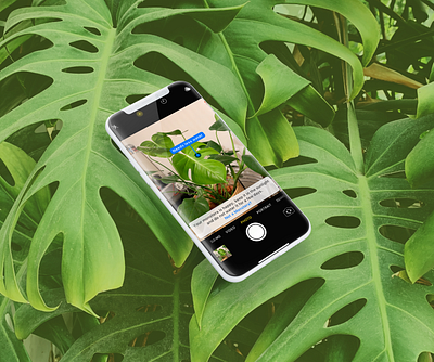 Doctor Green camera homeplants ios ios app iphonex monstera plantdoctor plants productdesign uxui