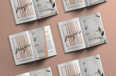 Editorial Lettering - Etapas en Transición custom type design lettering magazine magazine design print print design script type typography