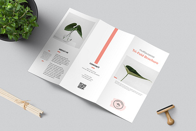 Multipurpose Tri-Fold Brochure Template botanical brochure brochure design brochure layout brochure template business brochure clean clean brochure elegant elegant brochure minimal minimal brochure minimalist layout multiple brochure multipurpose professional promotional trifold brochure