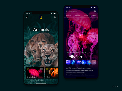 National Geographic / Mobile Concept animals design digital discover interface mobile national geographic nature ui ux