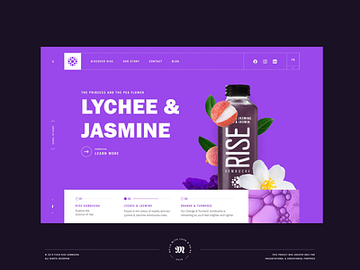 RISE Kombucha — Page Load design interface layout typography ui uidesign uiwebdesign userinterface web web design