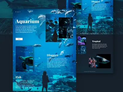 Landing page aquarium aquarium dailyui landing landing page ui uiux