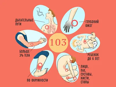 7c9b2684604871 5d628aff222c7 illustration