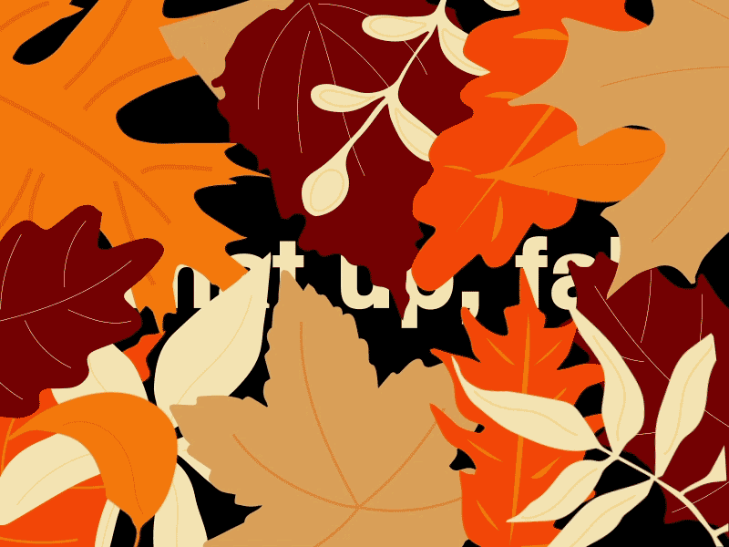 Hello Fall 🍂 after effects animation autumn equinox autumn leaves fall gif illustration vector