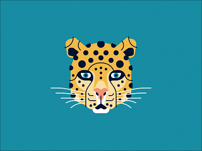 Leopard animal big cat cat dribbble leopard spots weekly warm up wildlife