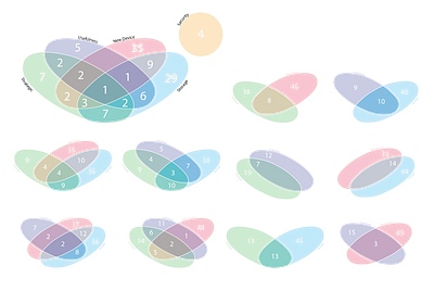 Overlapping Venn Diagram user research venn diagram