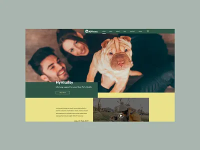 Redesign Concept art direction branding design dogs graphic design minimal minimalist petcare simple ui ux vet webdesign website website design websites