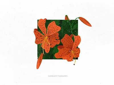 Humblest pleasures illustration music procreate tiger lily turnover