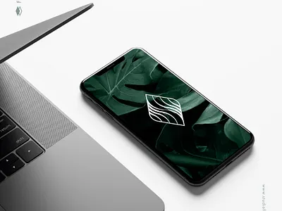 Logo Proposal - F.X. Mayr branding design health illustration logo nature organic spa