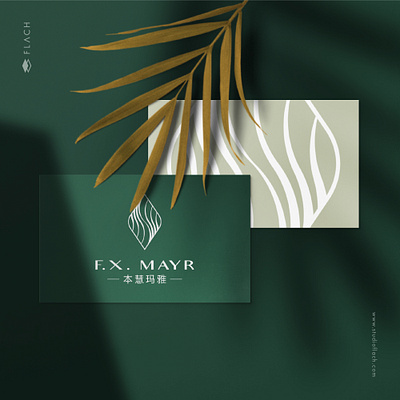 Logo Proposal - F.X. Mayr branding design health high end logo organic spa