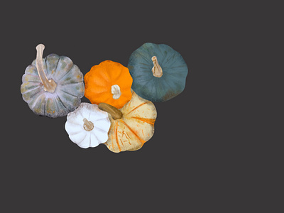 Lil Pumpkins apple pencil autumn cozy fall illustration ipadpro procreate pumpkin patch pumpkins shading