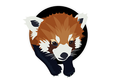 Red Panda Icon (Dribbble Rebound) adobe illustrator dribbble graphic design icon iconography icons illustration illustrator playoff red panda vector vector art zoo zoo animal