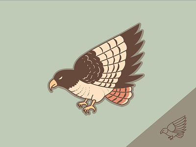 Red-tailed hawk adobe illustrator cc bird dribbbleweeklywarmup eagle hawk icon iconography illustration illustrator vector weekly challenge weekly warm up