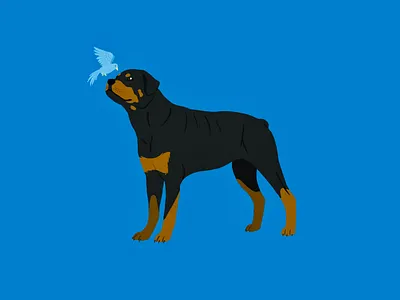 Rottweiler | Doggust 2019 bird digital art dog challenge doggust doggust2019 flat art procreate rottweiler